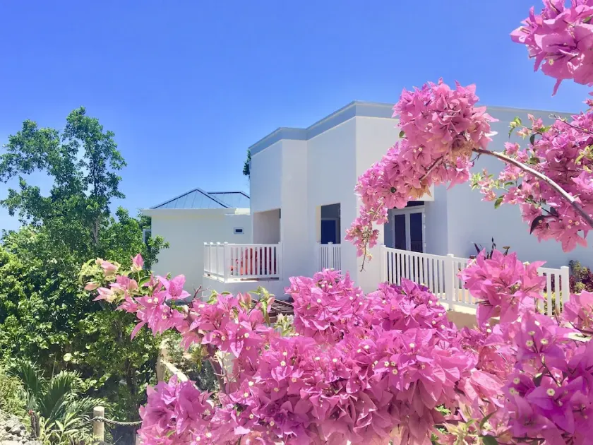 ocean front villa, 7bed with chef/housekeeping service. - Image 1