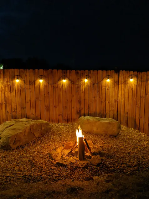 Pumpkin Pines  - Image 1
