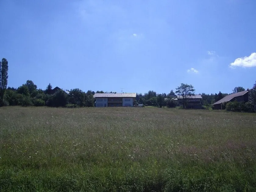 Relaxation or active vacation in heart of BavarianForest climatic health resorts - Image 1