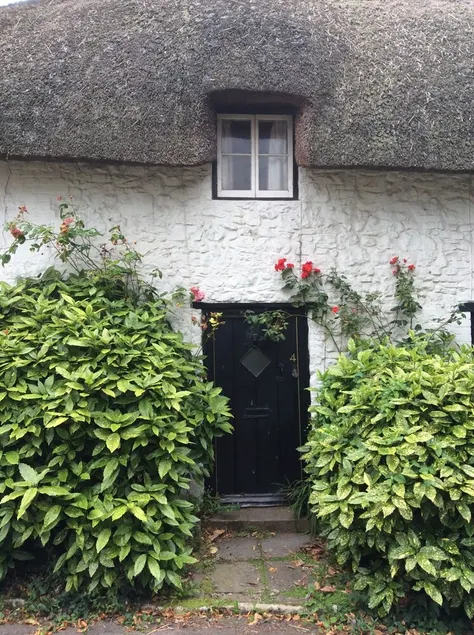 Thatched  Mid Terraced Cottage - Image 1