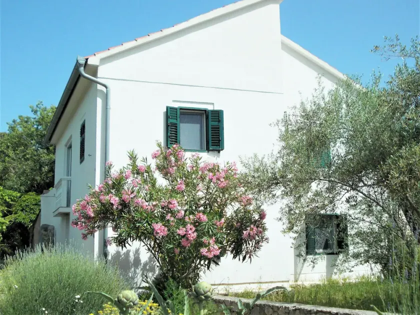 Spacious house in Lukoran with sea view - Image 1