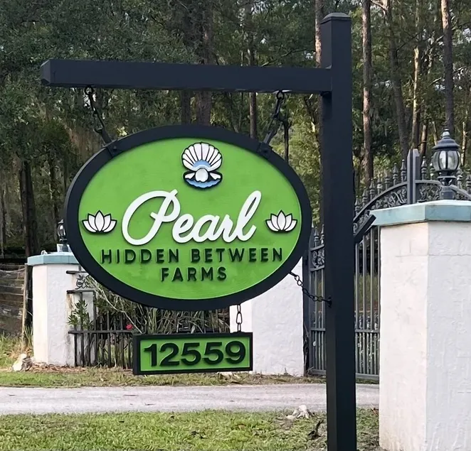 A Pearl Hidden Between Farms - Image 1