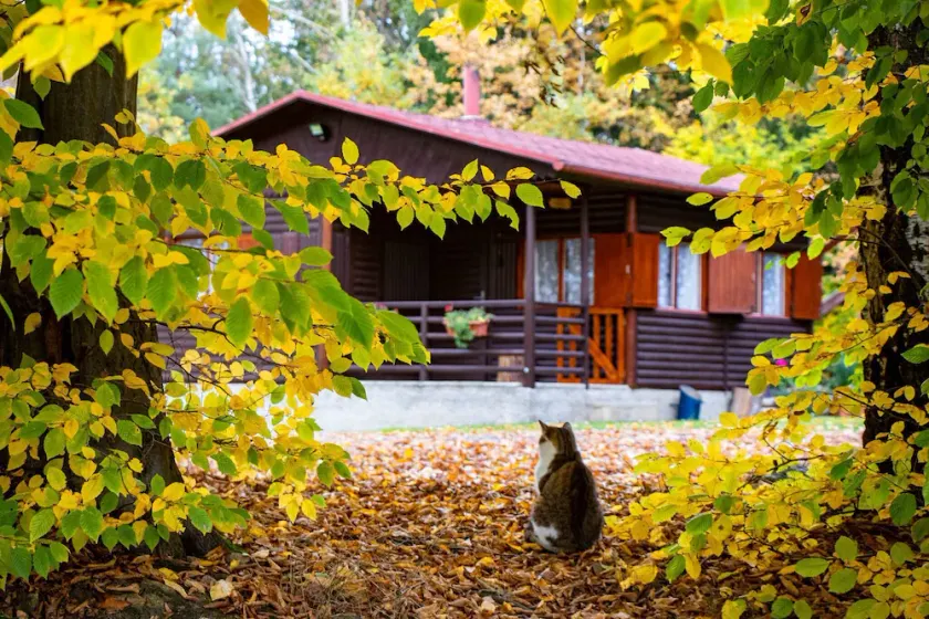 Log Cabin 1, 2 + 2 posti letto, splendida vista, animali domestici, lago, vista foresta, letto Dbl - Image 1