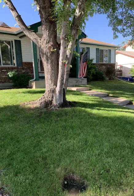 Ranch style home in Aurora - Image 1