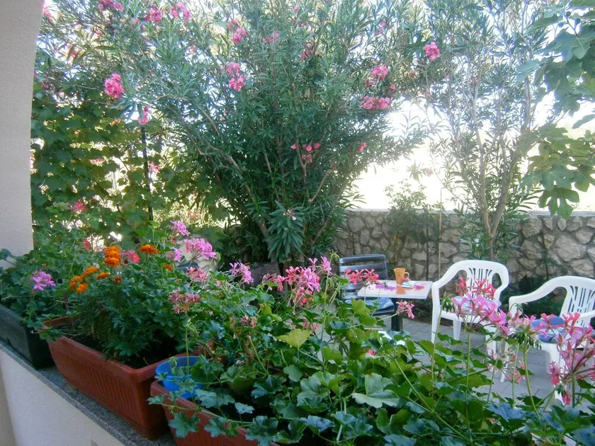 Apartments Verica, (16486), Privlaka, hr - Image 1