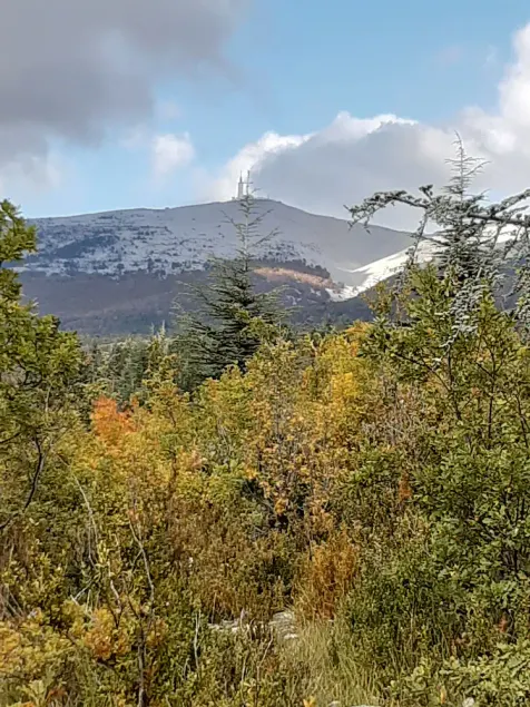 Chalet immerso nella natura a 2,5 km da BEDOIN - Image 1