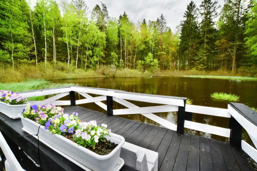 Comfortable Holiday Home in the Middle of a Forest - Image 1