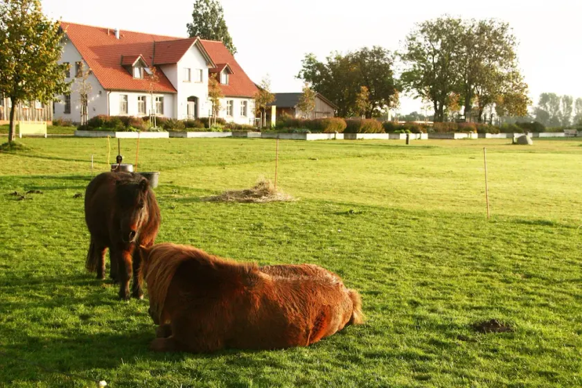 Casa colonica ristrutturata con cura su eco-fattoria - a solo 1 km dal traghetto Rügen - Image 1