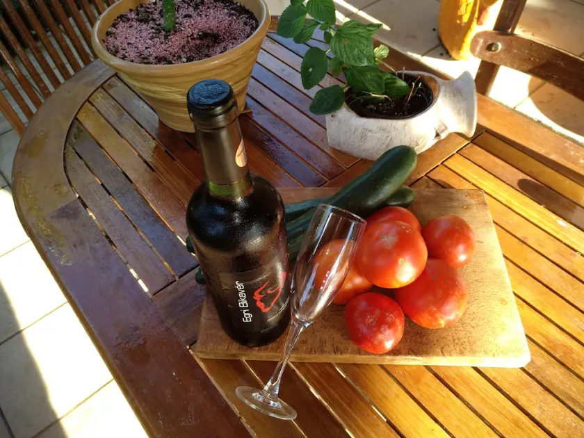 Villa en pleine nature - Image 1