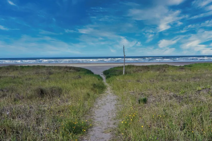 CLEAN Beach Cottage + Beach Path! - Image 1