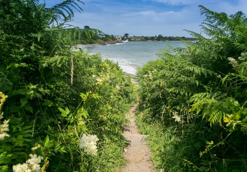 Dinas Cottage - Image 1