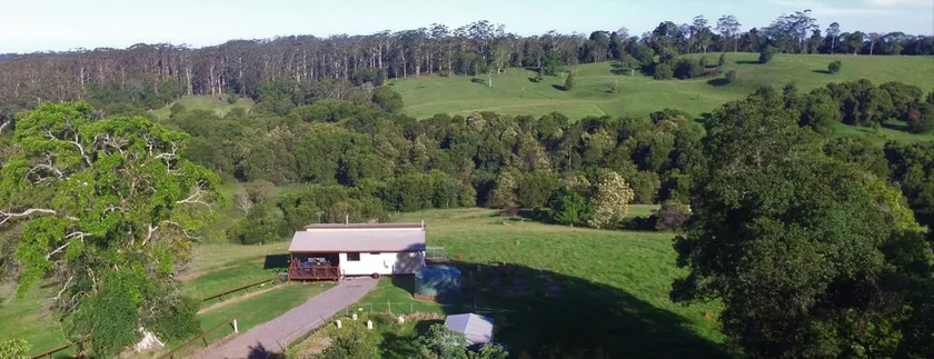 Bellthorpe Stays - Whipbird Cabin: nature's favourite place, pooches allowed. - Image 1