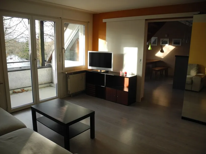 Beautiful family-friendly maisonette apartment near Basel - Image 1