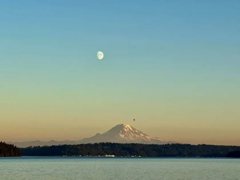 Waterfront 2 bed, 2 baths, 1364 sq ft, views of Mt Rainer, Seattle, and more. - Image 1