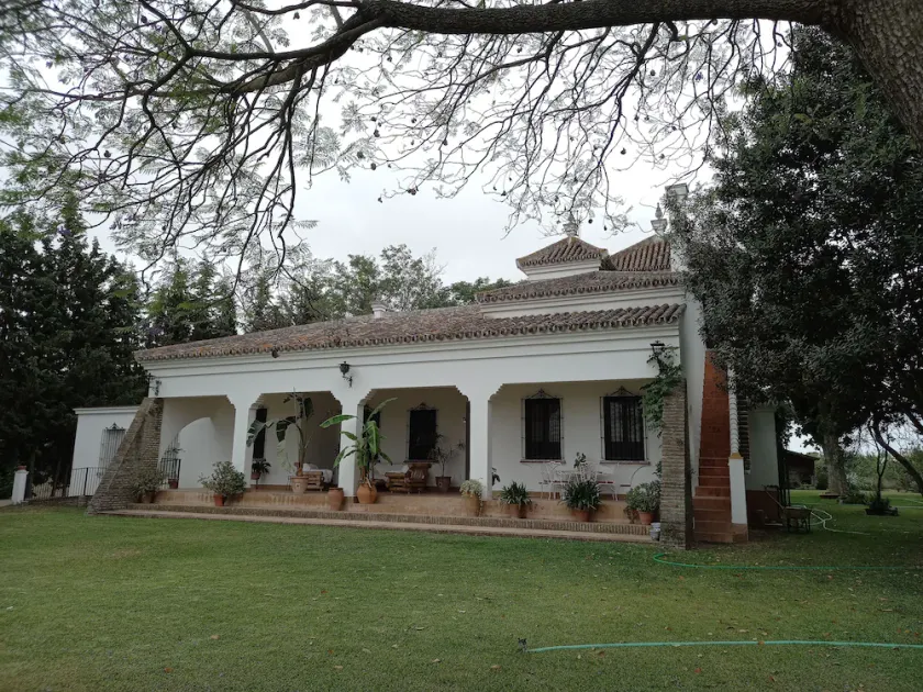 Magnificent home in Doñana 30 m from Seville - Image 1