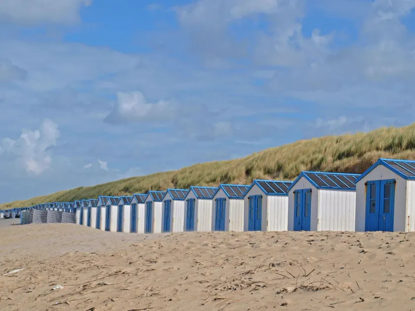 Luxury Chalet With two Bathrooms, Near the sSa on Texel - Image 1