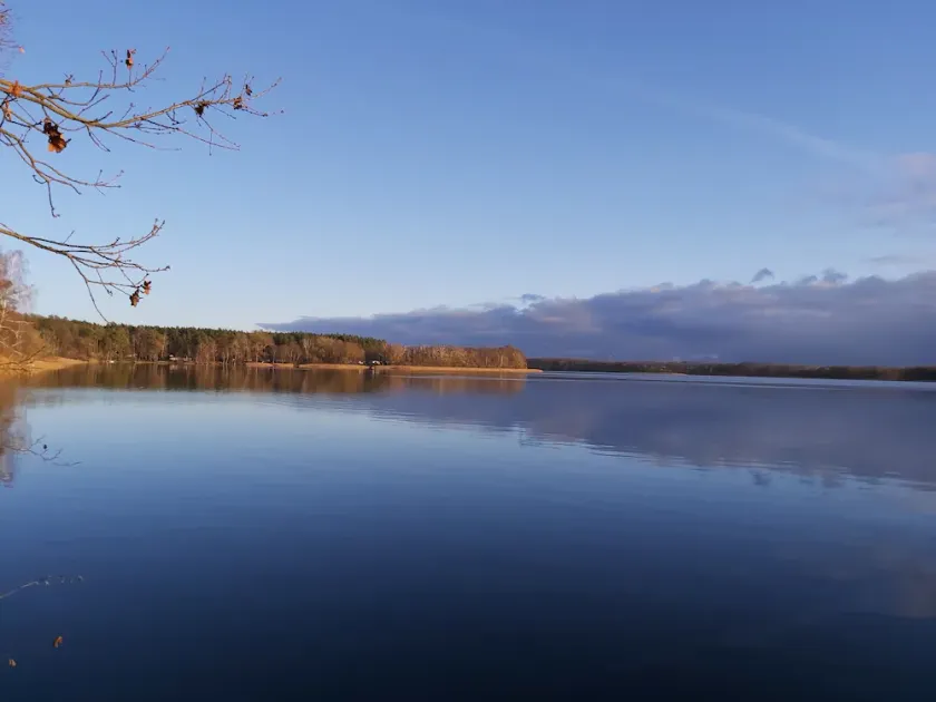 Tra foresta e lago ... - Image 1