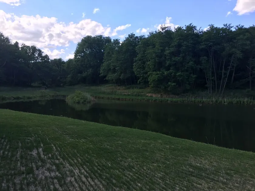 5 sovrum Lodge i Illinois - Image 1