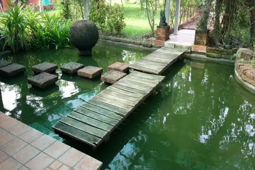 Rim Nam Kong Homestay & Campsite - Image 1