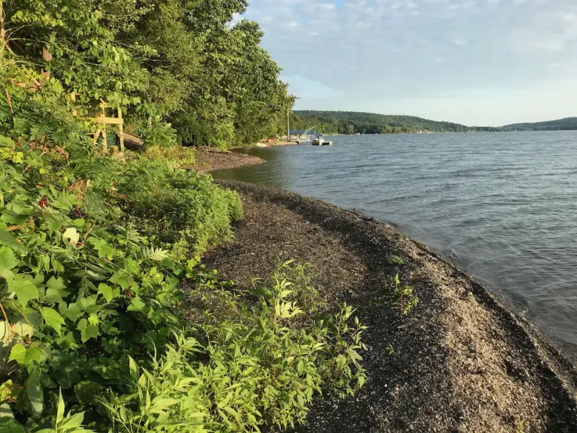 A Quiet Oasis on Otisco Lake - Image 1