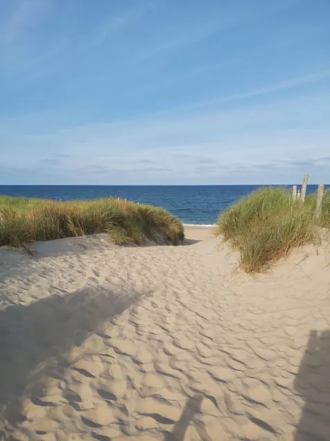 Wonderful stay near the beach/sea - Image 1