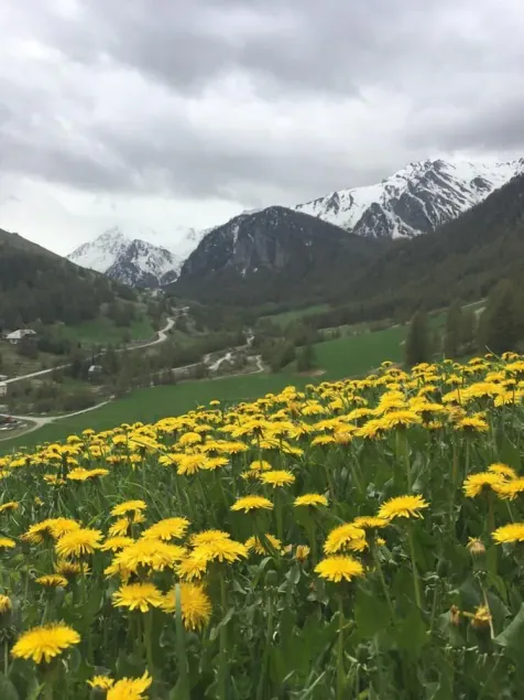 \"La stalla di Eliris\" in un'antica fattoria tradizionale del Queyras - Image 1