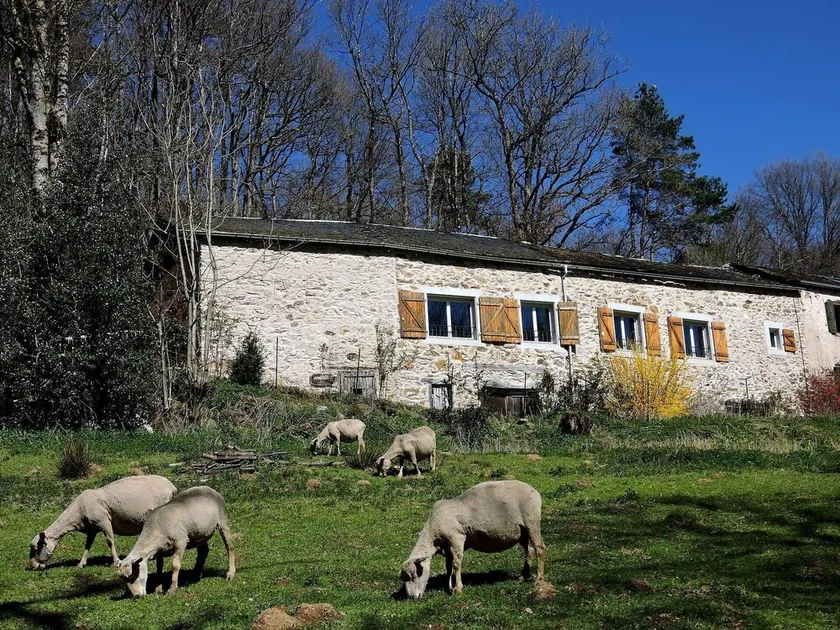 La Fenial, a spacious stone cottage, accessible to people with disabilities, with air conditioning, nestled in the heart of nature - Image 1