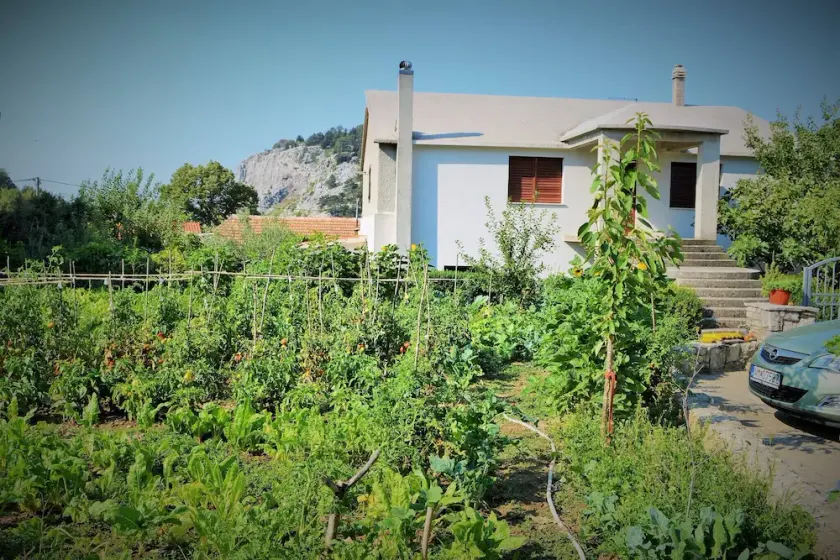 Apartment in Gata near Adriatic Sea - Image 1