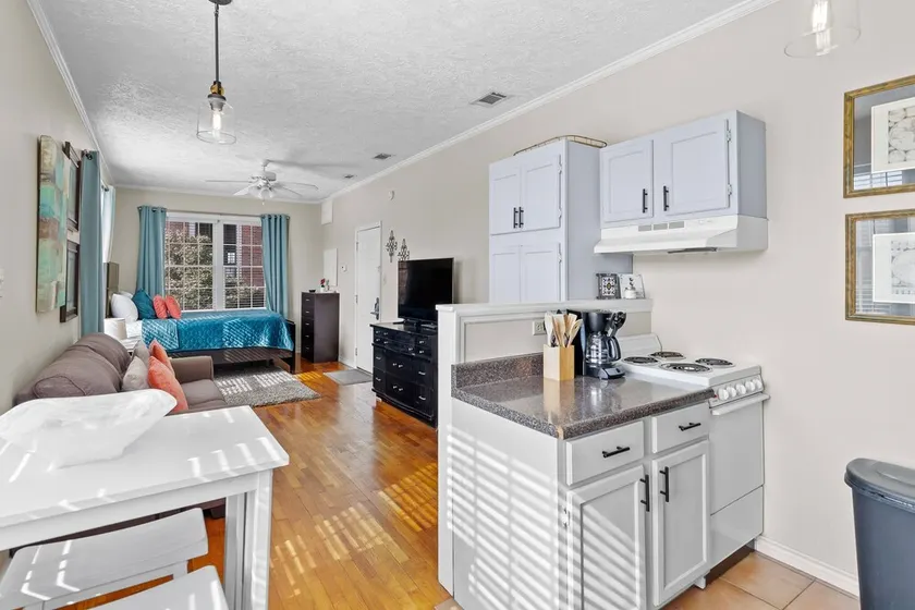 Classic Loft in Downtown Auburn, Alabama! LOCATION! - Image 1