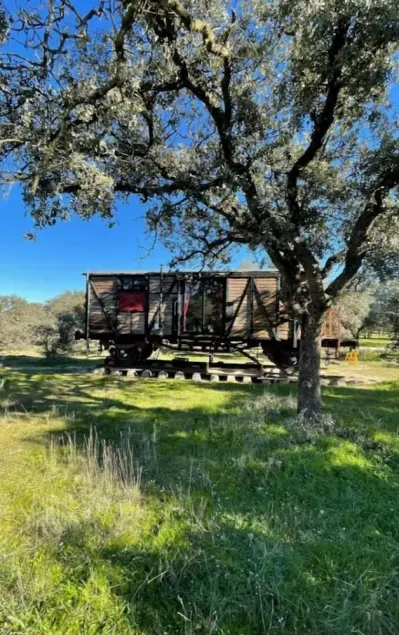 the merry wagon - Image 1