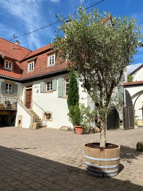Nußriegel vacation apartment in a historic setting on the wine route - Image 1