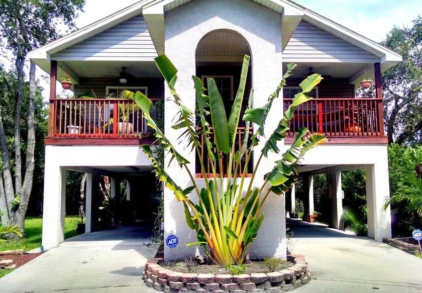 TreeHouse i Tampa - Image 1