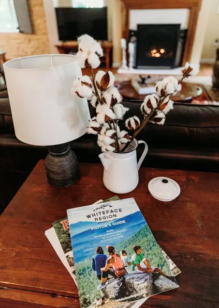 Adirondack Fall Haven: Hot Tub, Fireplace, Coffee Bar, Dogs Welcome! - Image 1