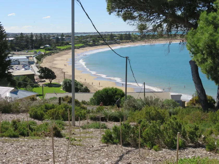 DOLPHIN 10 en Horseshoe Bay, Port Elliot - Image 1