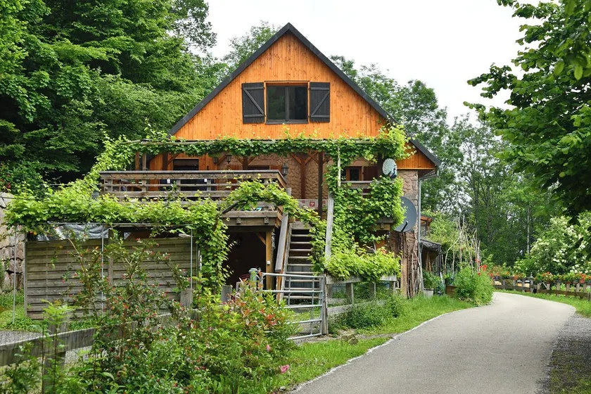 natur, lugn, fristad, mellan kollega, familj, team-building, grupper - Image 1