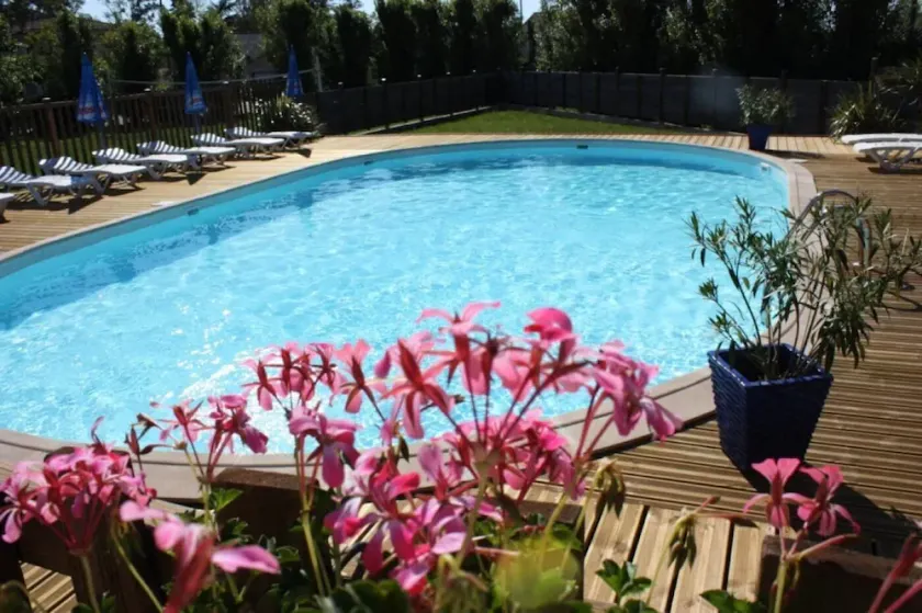 ZEcamping 3 étoiles piscine chauffée dog friendly locatif TV clim 31m2 - Image 1