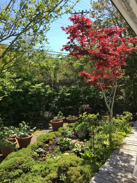 Stunning Fire Island Pines Oasis! - Image 1