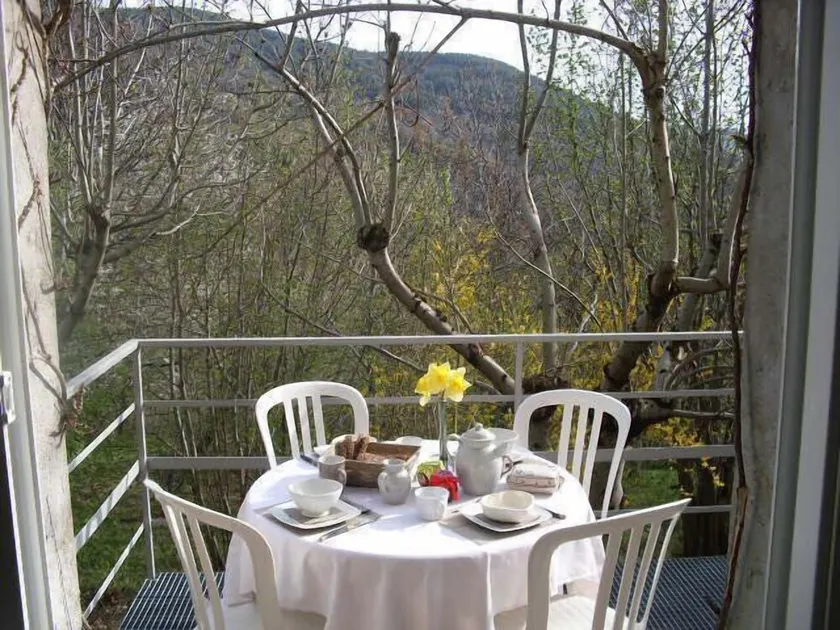 Im Herzen eines Kastanienhains - Image 1