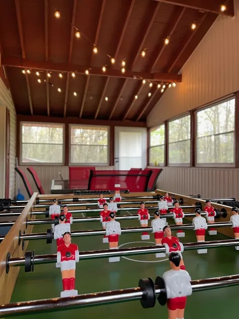 Entire Cozy Pocono Chalet with fireplace, Firepit BBQ and games - Image 1
