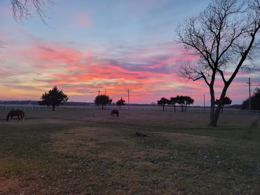Ranch at Lake Ray Roberts - 10 Acres ranch, walk to lake 4 Bed 2 Bath - Image 1