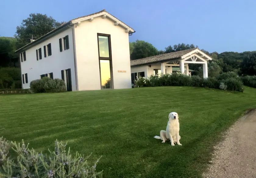 Luxus-Villa in der Toskana mit 19 Hektar Park nach Capalbio - Image 1
