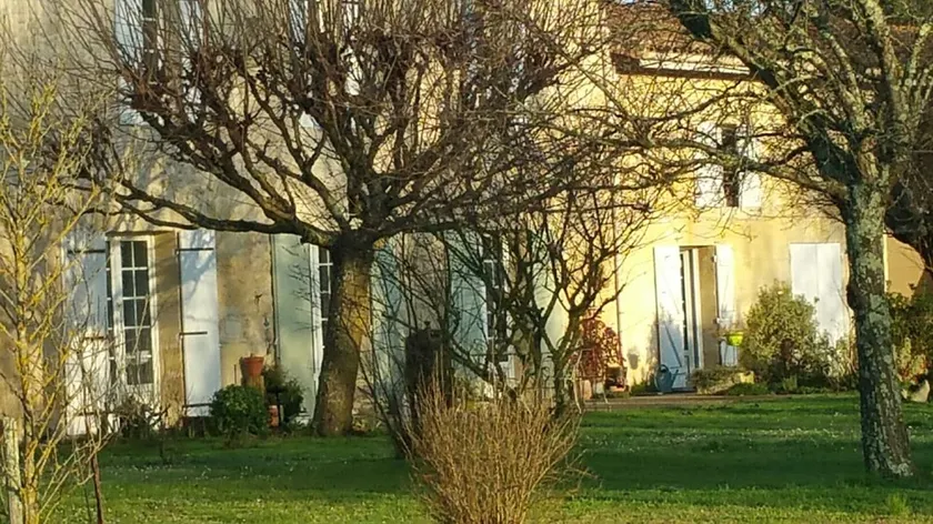 Gîte entre Bordeaux et St Emilion avec Magnifique Parc,  entouré de Vignes - Image 1