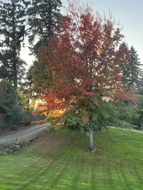 Quaint cabin - Image 1
