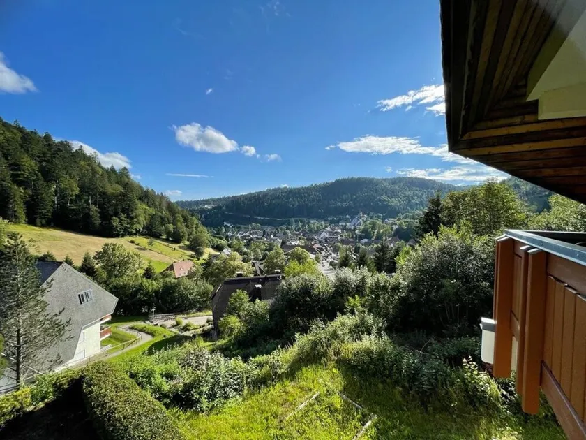 Panorama Apartment Todtmoos - Image 1