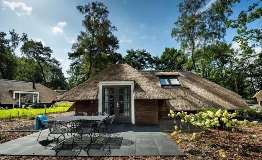 Sprielderbosch 21 luxury holiday villa in forest near Putten - Image 1