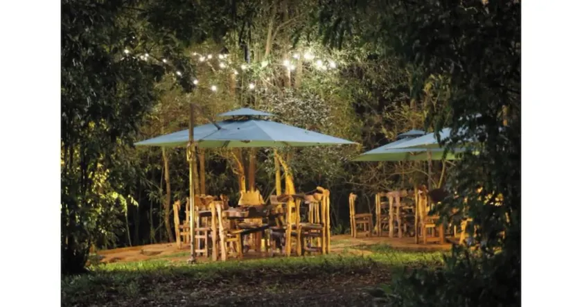 The Treetops Lodge - Image 1