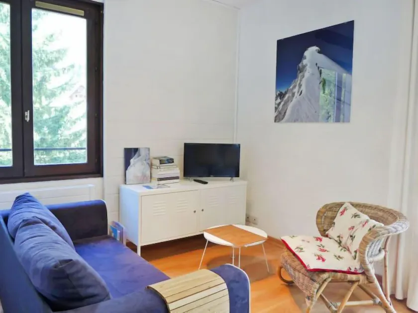 Apartment Cristal des Glaces, Mont Blanc View, Alpes Agency, sleeps 6 - Image 1