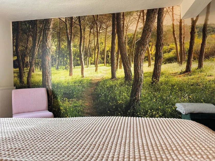 Holiday home Petermännchen for your vaction in Westerburg 1-4 person - Image 1