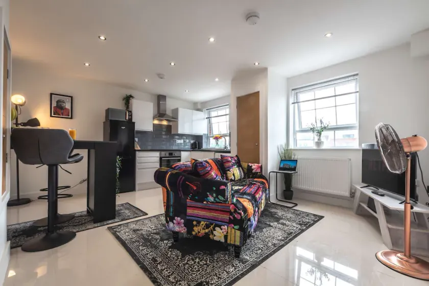 One Spacious Bedroom - Image 1