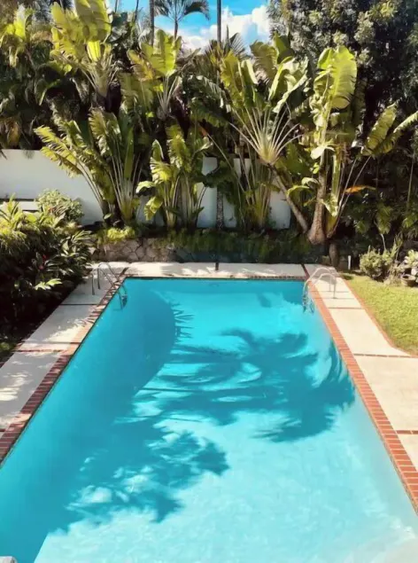 ⭐️Casa De Las Palmas 🌴🌴 - Image 1